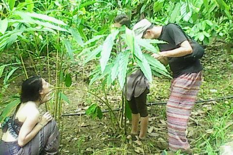 Sunleo Spice Villas & Homestay Munnar Luaran gambar